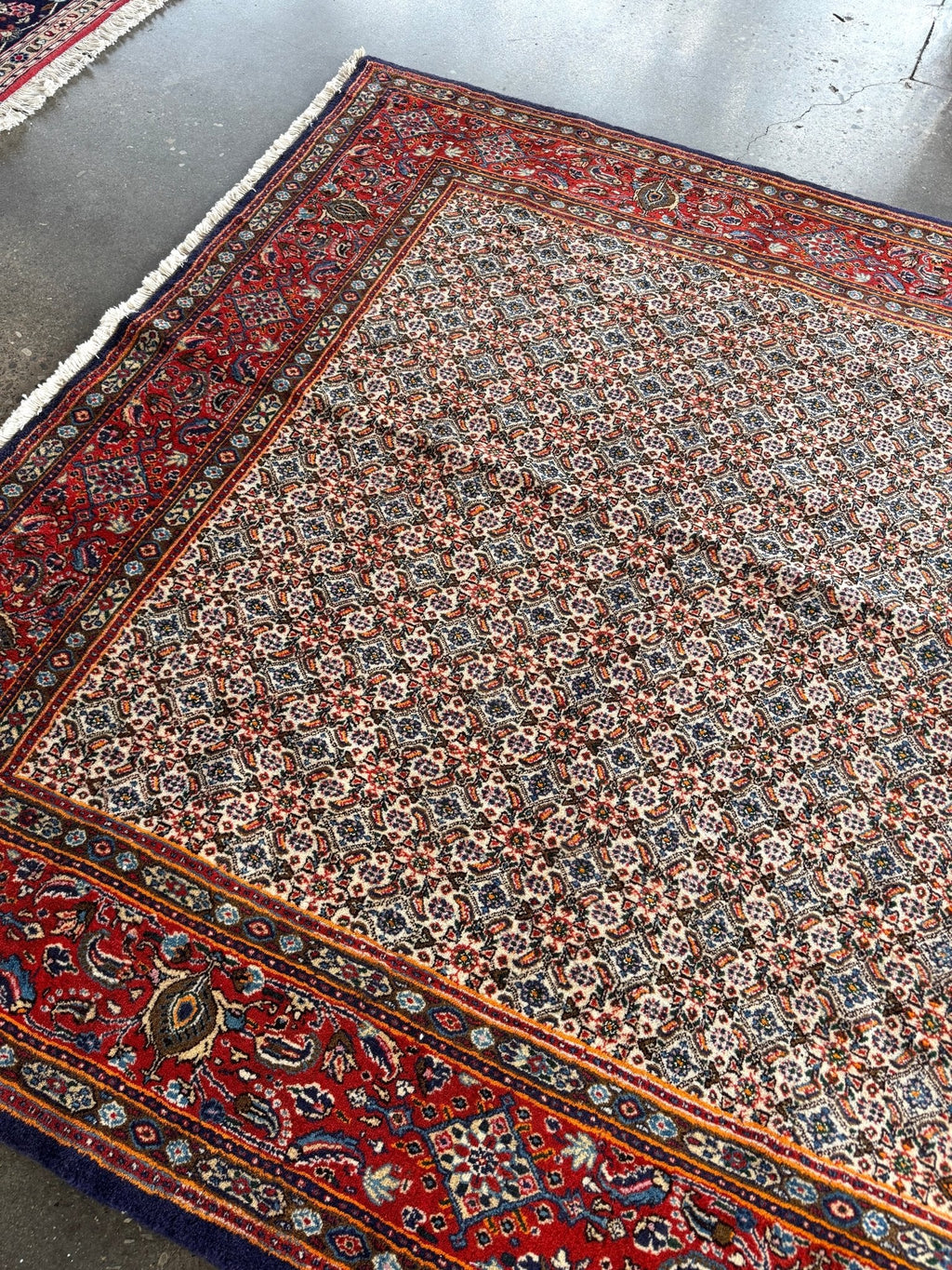 Persian Moud Rug | 6' 1" x 6' 6"